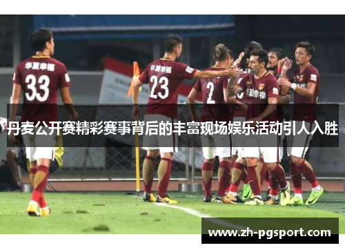 丹麦公开赛精彩赛事背后的丰富现场娱乐活动引人入胜