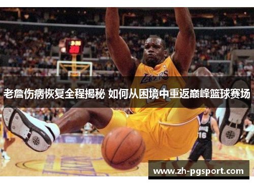 老詹伤病恢复全程揭秘 如何从困境中重返巅峰篮球赛场