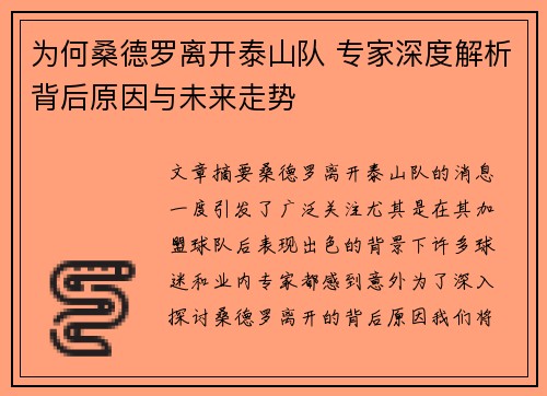 为何桑德罗离开泰山队 专家深度解析背后原因与未来走势