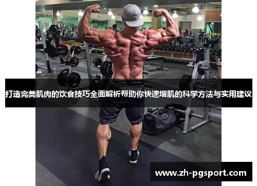 打造完美肌肉的饮食技巧全面解析帮助你快速增肌的科学方法与实用建议