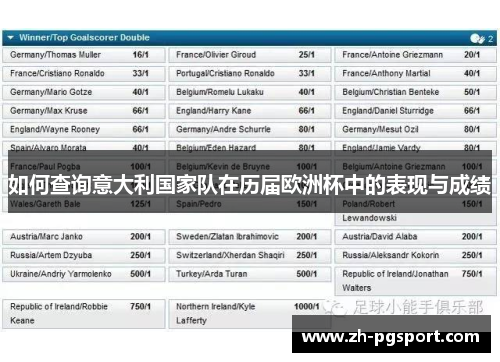 如何查询意大利国家队在历届欧洲杯中的表现与成绩