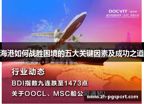 海港如何战胜困境的五大关键因素及成功之道
