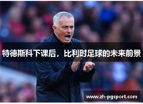 特德斯科下课后，比利时足球的未来前景