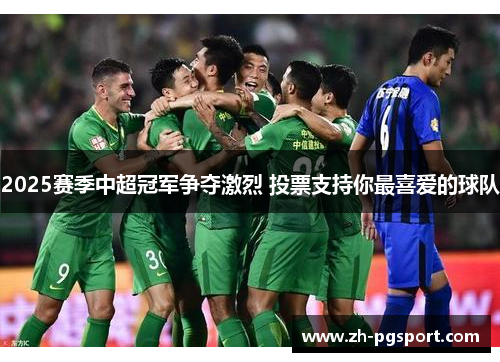 2025赛季中超冠军争夺激烈 投票支持你最喜爱的球队