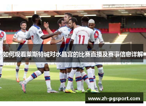 如何观看莱斯特城对水晶宫的比赛直播及赛事信息详解