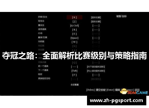 夺冠之路：全面解析比赛级别与策略指南