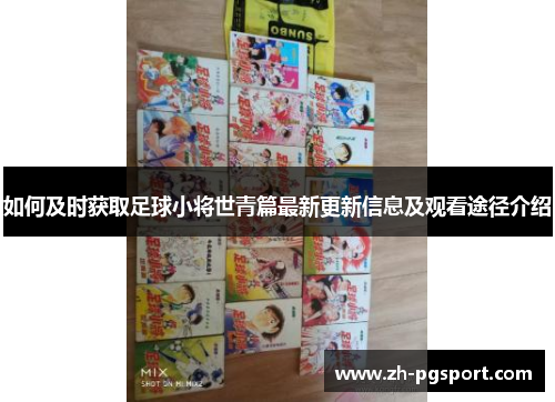 如何及时获取足球小将世青篇最新更新信息及观看途径介绍
