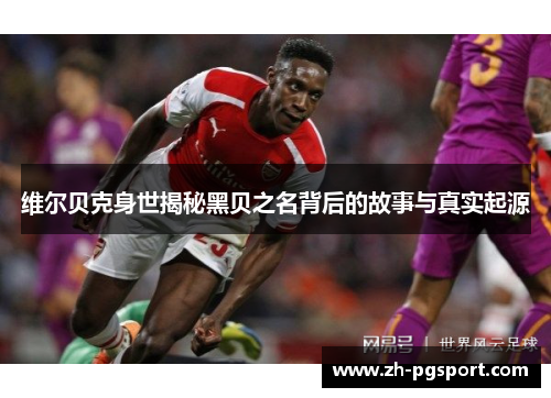 维尔贝克身世揭秘黑贝之名背后的故事与真实起源