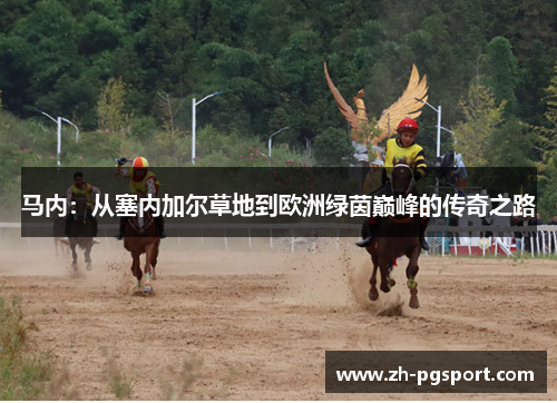 马内：从塞内加尔草地到欧洲绿茵巅峰的传奇之路